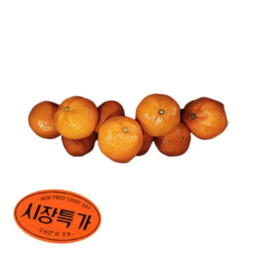 ★매일시장특가★ 감귤 (L_8~9과 1Kg/EA) 과일 초특가 카페 생과