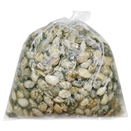 바지락(생물_부분해감 5Kg/EA)