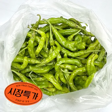 ★매일시장특가★ 꽈리고추(국산 500g/EA) 초특가 채소 야채 국내산 고추 꽈리