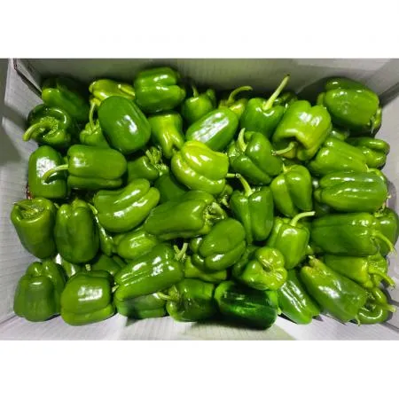 청피망(상 한국청과 106번 10Kg/BOX)