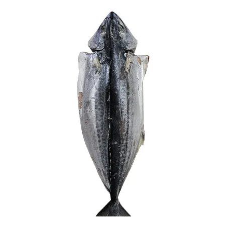 삼치(할복_500~600g/마리_10마리 5.5Kg/BOX)