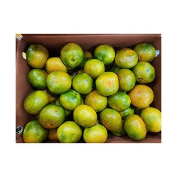 ★매일시장특가★ 감귤 (L_40~46과 5Kg/BOX) 조생귤 녹색과포함