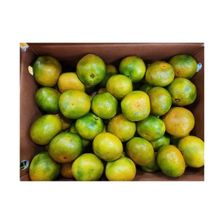 ★매일시장특가★ 감귤 (L_40~46과 5Kg/BOX) 조생귤 녹색과포함