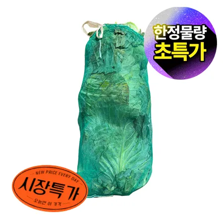 ★매일시장특가★ 양배추(3개입_38망 국내산/EA) 초특가