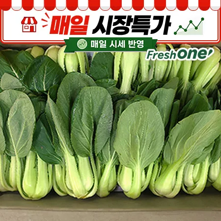 ★매일시장특가★ 청경채 (상, 4Kg/BOX)