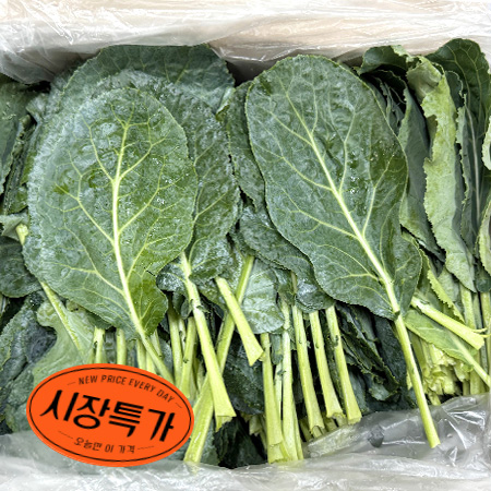 ★매일시장특가★ 케일(상 2Kg/BOX) 초특가 채소 야채 쌈케일