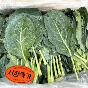 ★매일시장특가★ 케일(상 2Kg/BOX) 초특가 채소 야채 쌈케일