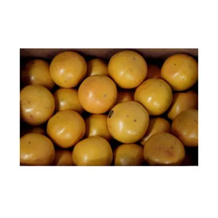 자몽(300g이상*1개입 300g/EA)