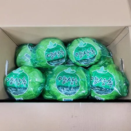 국산 양상추 12입/BOX (겉잎미제거)