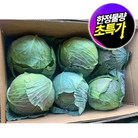 ★초특가★ 양배추(중국산 6~8입 15Kg/BOX)
