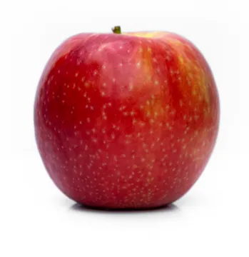 사과(상품 230g/EA)/국내산