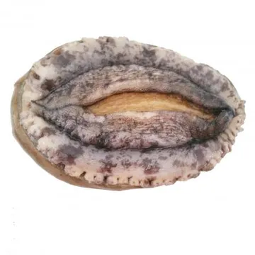 전복(생물_8~10마리/kg KG)/국내산