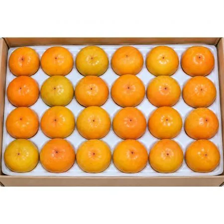 반시 (41-50입 5Kg/BOX)