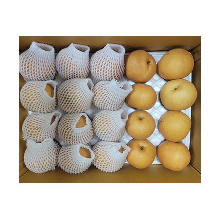 배(실속_무선별_31~40과 다용도용_가공용 15Kg/BOX)