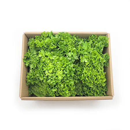★매일시장특가★ 카이피라(2Kg/BOX) 이미지