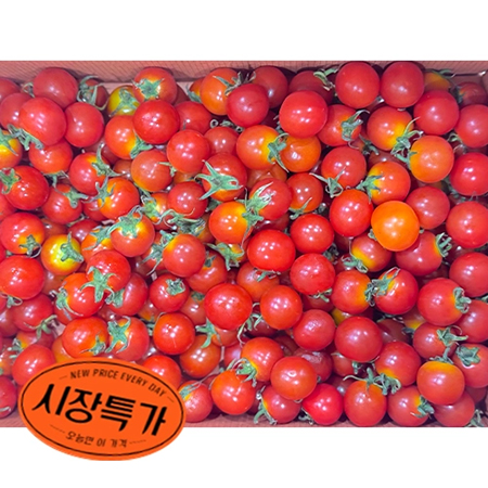 ★매일시장특가★방울토마토(10~15g/개 5Kg/BOX)