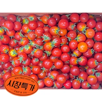 ★매일시장특가★방울토마토(10~15g/개 5Kg/BOX)