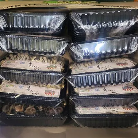 ★매일시장특가★ 애느타리버섯(상 200g*10입 2Kg/BOX) 맛타리버섯