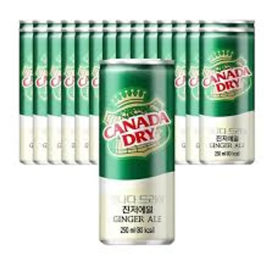 코카콜라 캐나다드라이(진저에일 250g*30EA/BOX) 이미지