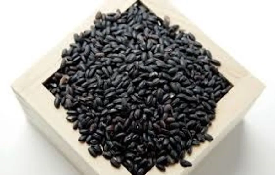 찰흑미(실온 1Kg/EA 한국) 이미지