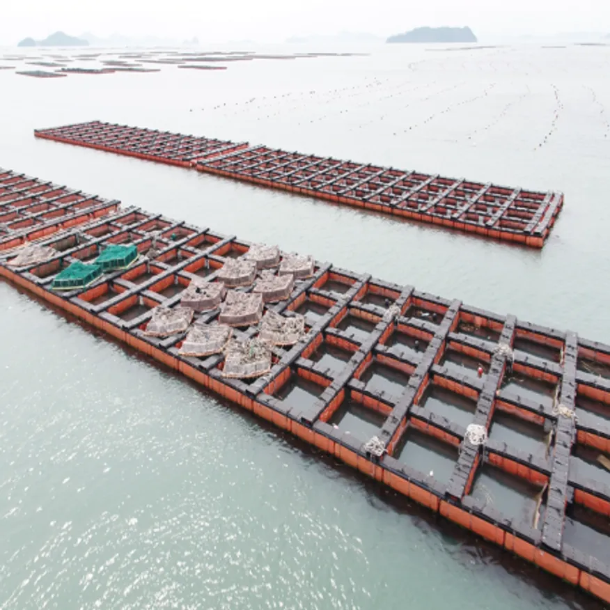 산지직송 요리용 특대 활전복 kg당 9미 10.5kg 이미지