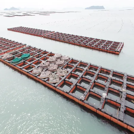 산지직송 요리용 특대 활전복 kg당 9미 10.5kg 이미지