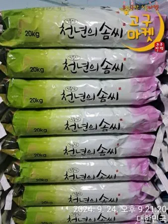  ★\'25햅쌀 [ ★농협 상등급 신동진 ]  ★당일 직배송  ★★무료배송 / 일~목요일 밤 이미지