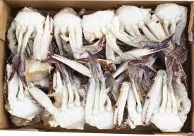 절단꽃게 [M] 450g  1개