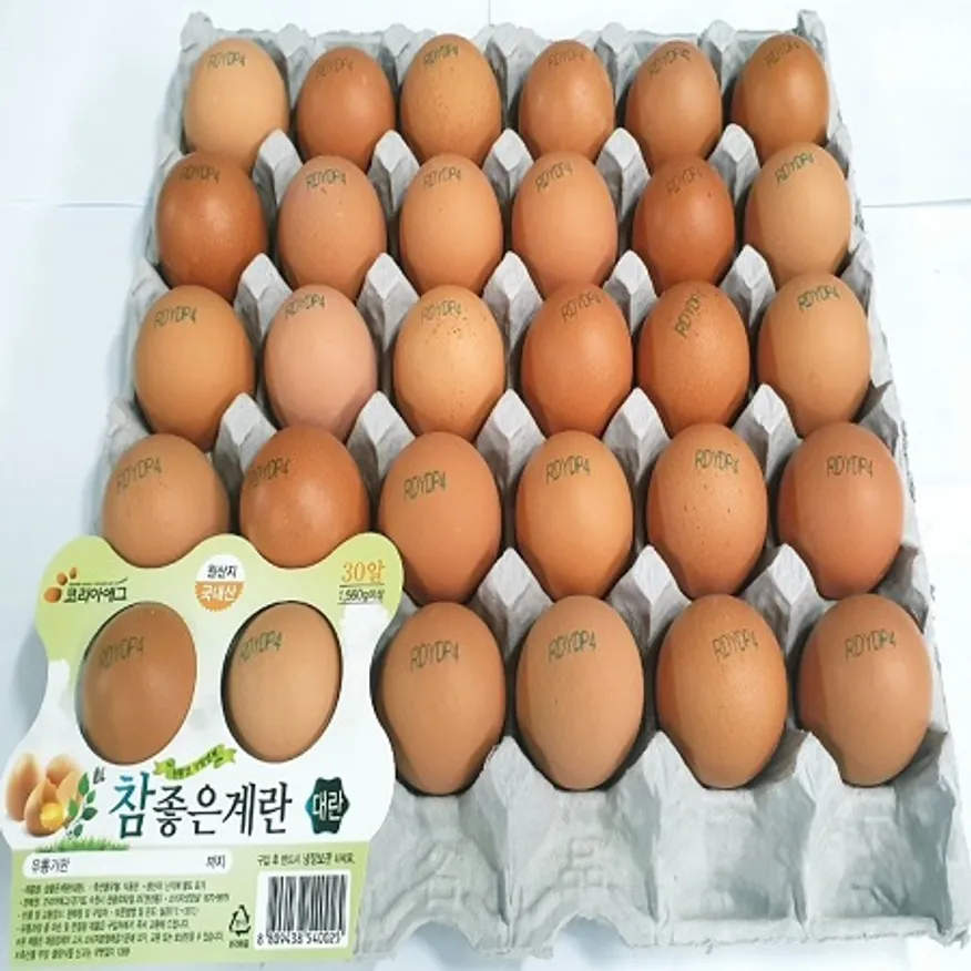 코리아에그 대란(한정행사) 이미지