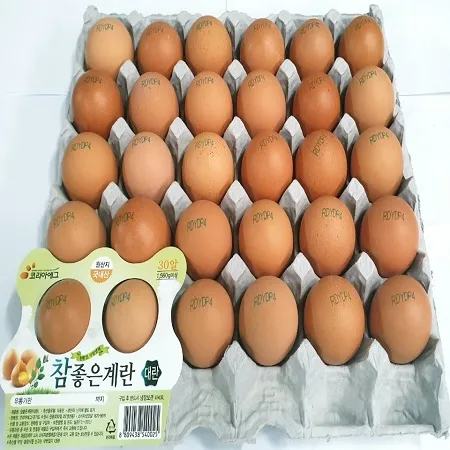 코리아에그 대란(한정행사) 이미지