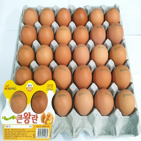 코리아에그 왕란 이미지