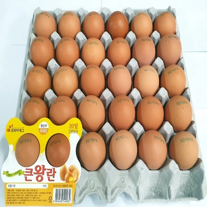 코리아에그 왕란 이미지