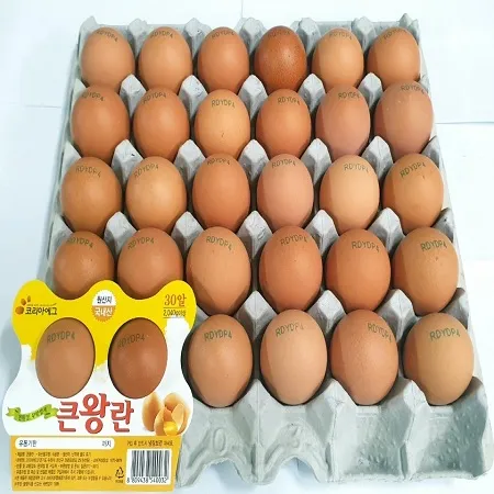 코리아에그 왕란 이미지