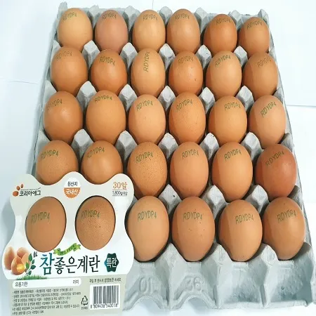코리아에그 특란 (한정행사) 이미지