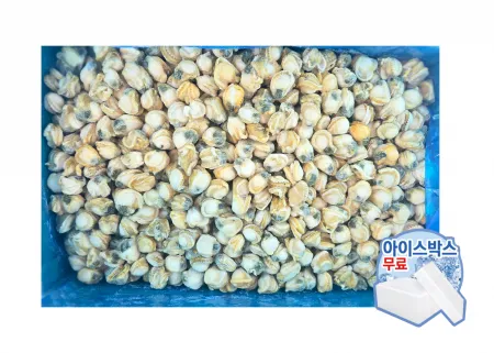 가리비살[자숙가리비살,히모,냉동,벌크]10kg