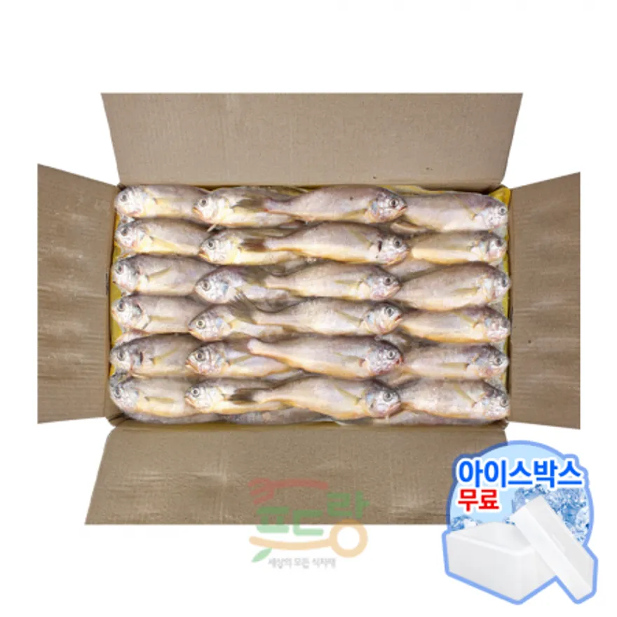봉화 참조기(50~54미) 3.5kg 이미지