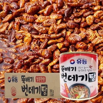 유동 얼큰번데기탕 280g 1박스 24개