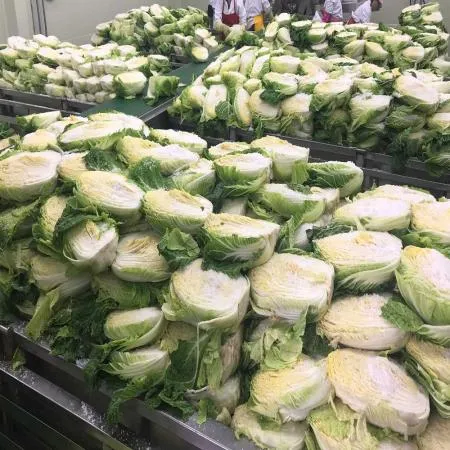 당일제조 서울식 맛김치 썰은김치 10kg 이미지