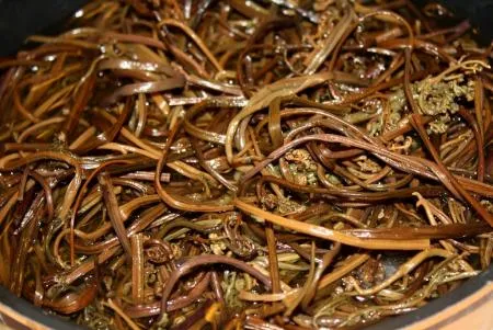 [맛집 대용량 추천] 특A급 데침고사리 1KgX10개 삶은 고사리 데친고사리 나물 반찬 육계장 비빔밥 한식 밑반찬 이미지