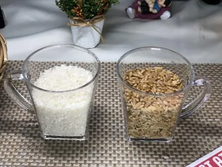 [맛집 추천] 특A급 호라산밀 4Kg 통곡물 당뇨쌀 카무드 쌀 카무스 찹쌀 잡곡 종류 다이어트 이미지