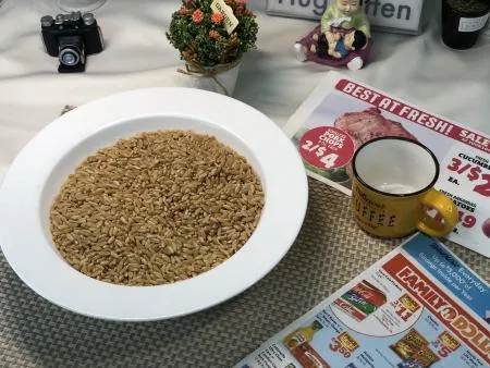 [맛집 추천] 특A급 카뮤트쌀 2kg 호라산밀 통곡물 당뇨쌀 카무드 쌀 카무스 잡곡 다이어트 이미지