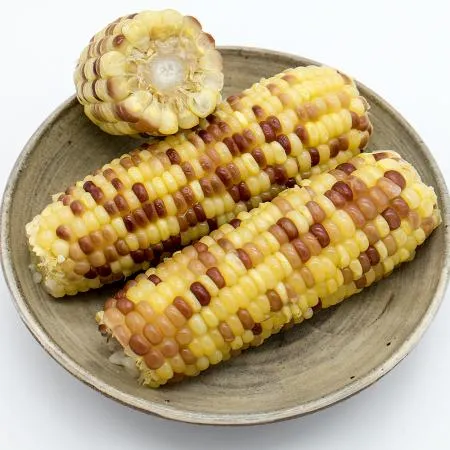 특품(중) 홍찰 냉동 삶은 찰옥수수 5개 1kg(14~17cm내외) 간편간식 이미지