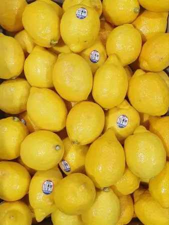 레몬 140과 박스