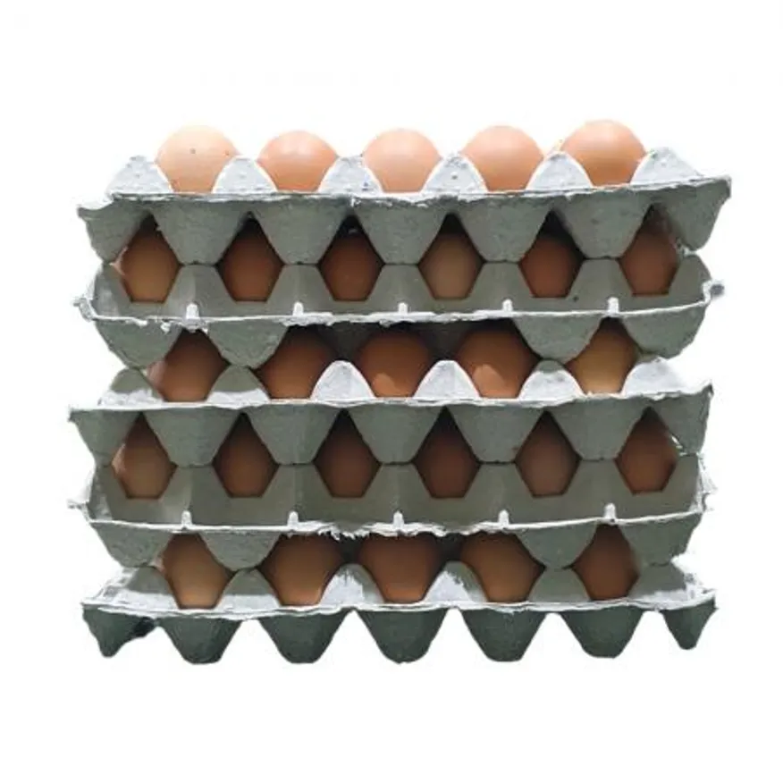 특란 30알 5판묶음 이미지