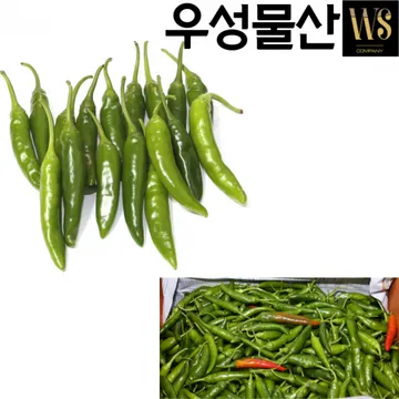 신선야채 국산 청양고추(상) 5kg 대용량업소용 청양고추