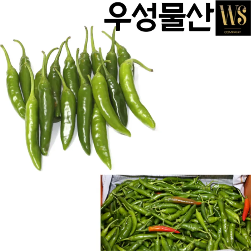 신선야채 국산 청양고추(상) 5kg 대용량업소용 청양고추 이미지