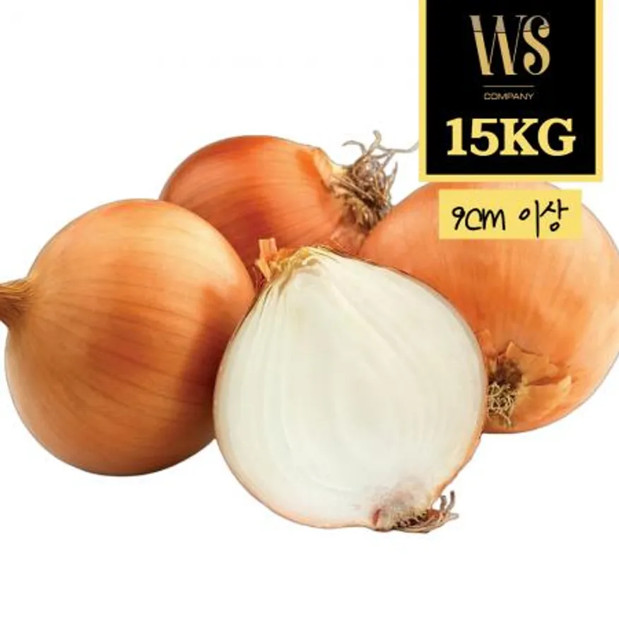 수입산 햇양파 15kg 9cm이상 3L 중국산 신선야채 수입야채 이미지