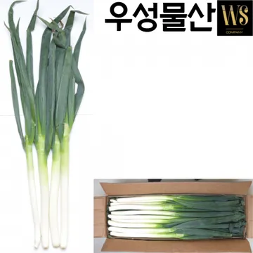 신선야채 중국산 대파 10kg 대용량업소용 대파