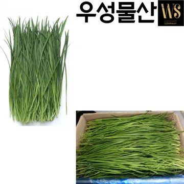 신선야채 싱싱한 부추 4kg