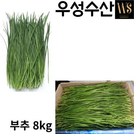 신선야채 싱싱한 부추 8kg 이미지